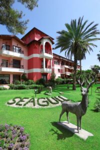 Read more about the article فندق سييغول | Seagull Hotel