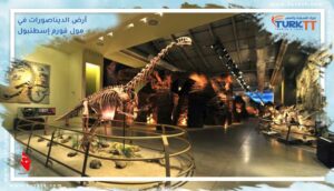 Read more about the article أرض الديناصورات في مول فورم إسطنبول: متحف يمزج بين التعليم والترفيه
