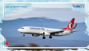 Read more about the article شركات الطيران والرحلات الداخلية في تركيا