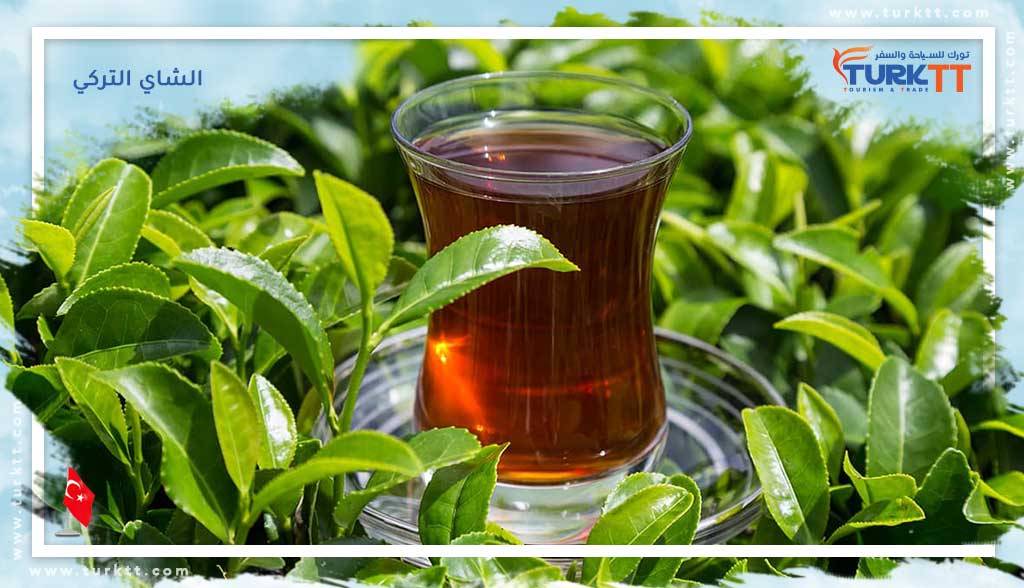 You are currently viewing الشاي التركي رمز للحياة والثقافة المشتركة في الأناضول