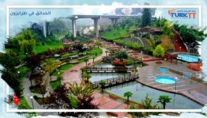 Read more about the article الحدائق في طرابزون: تحفة طبيعية تستحق الزيارة