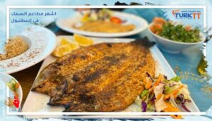 Read more about the article اشهر مطاعم السمك في اسطنبول: تذوق أشهى الأطباق البحرية