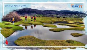 Read more about the article انعم بالاسترخاء واستمتع بالطبيعة في أجمل اماكن سياحية في سكاريا